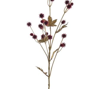 SANICULA SPRAY 70CM BOURGONDIË