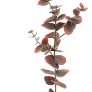 EUCALYPTUS GEVLOKT 75CM BOURGONDIË