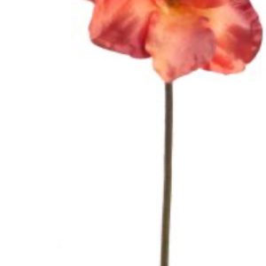 LARGE AMARYLLIS 80CM MAUVE