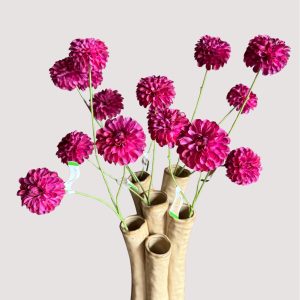 Dahlia 3 bloemen paars
