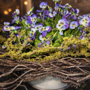 Viooltjes paars lila